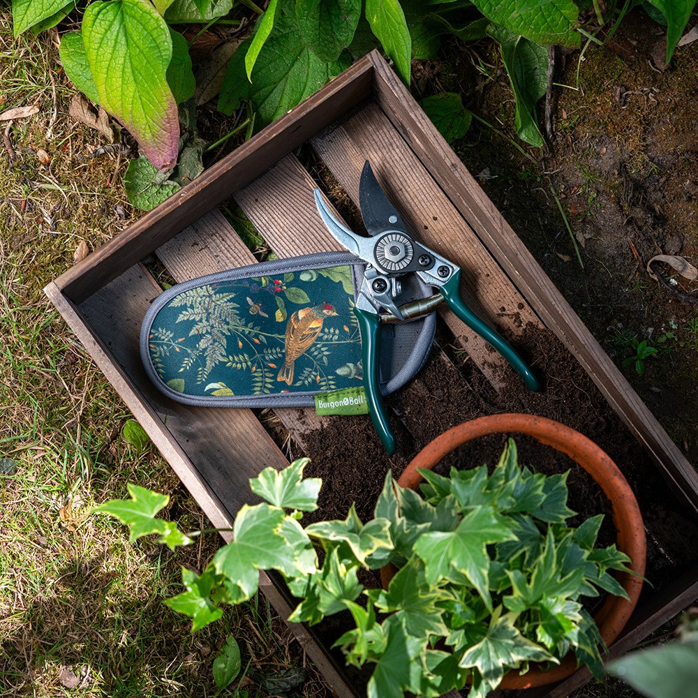 RHS woodland wonders pruner and holster gift box