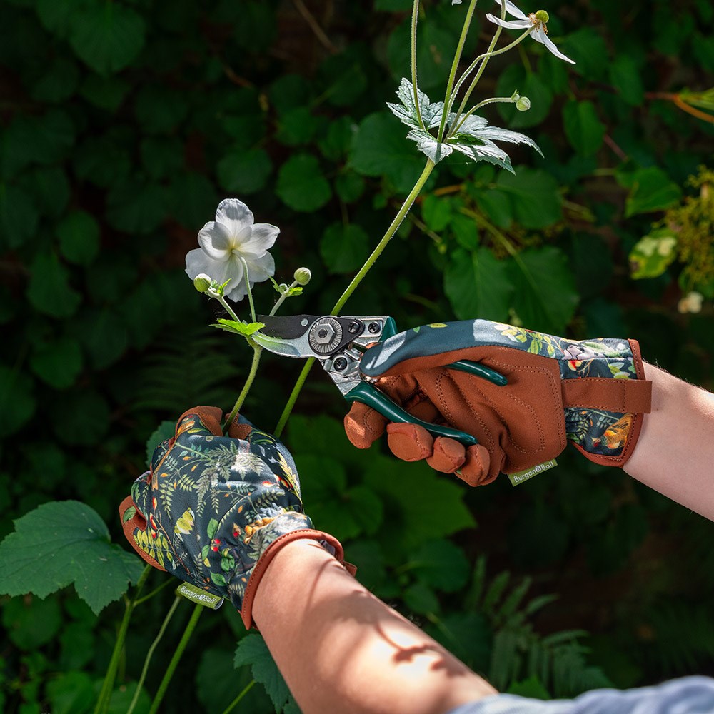 RHS woodland wonders pruner and holster gift box