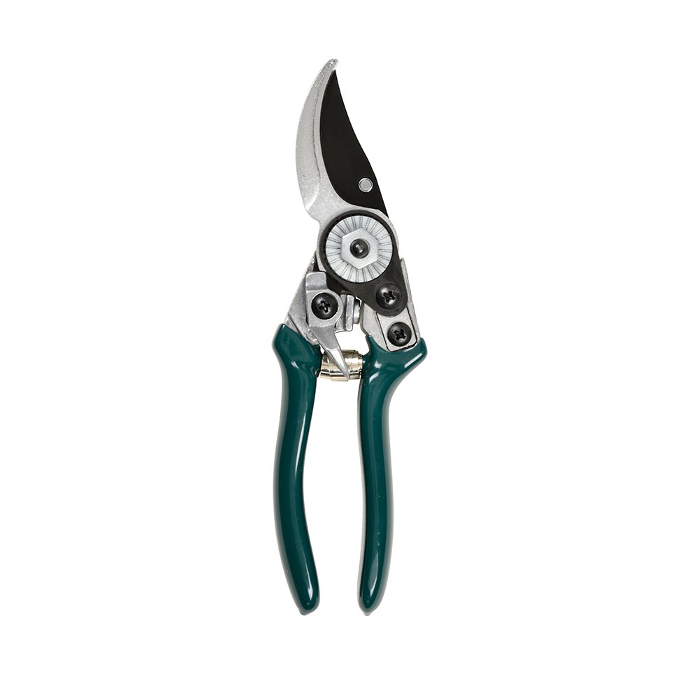 RHS woodland wonders pruner and holster gift box