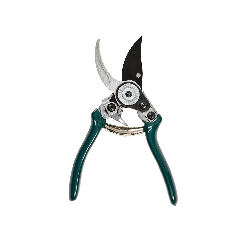 RHS woodland wonders pruner and holster gift box