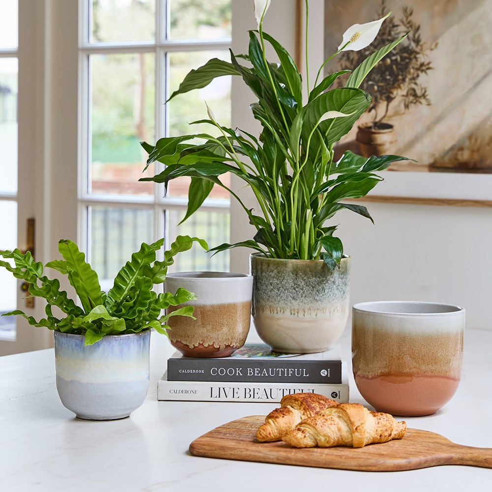Two tone glazed ombre plant pot - blue
