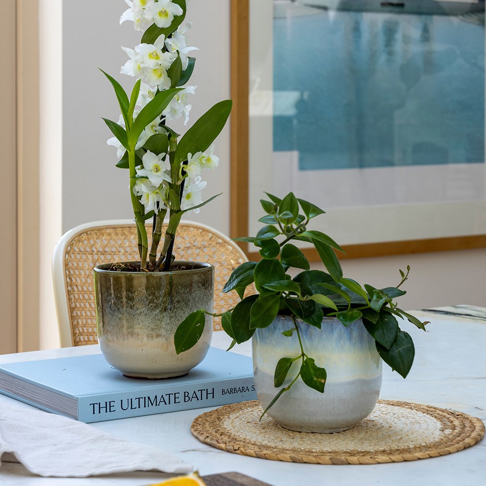 Two tone glazed ombre plant pot - blue