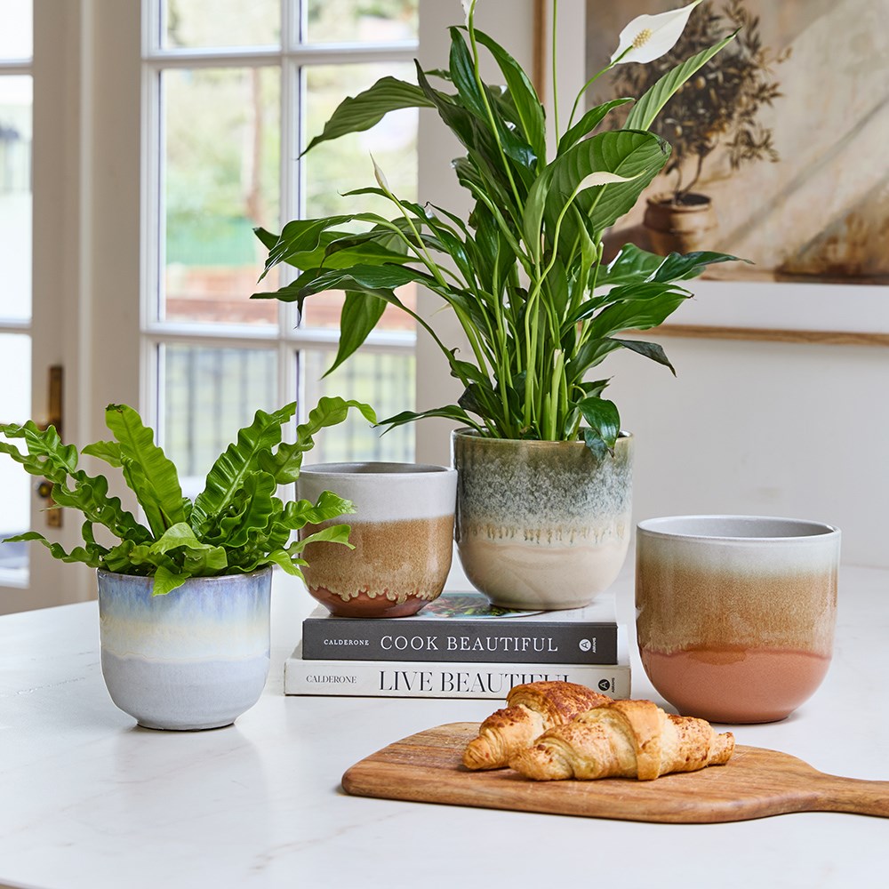 Two tone glazed ombre plant pot - green