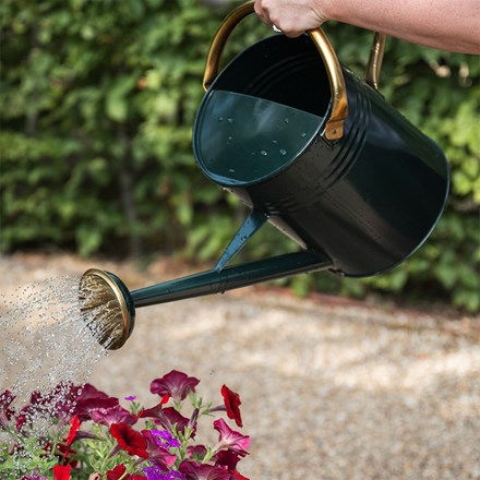 Dark green watering can with gold trim - 9.5 litres