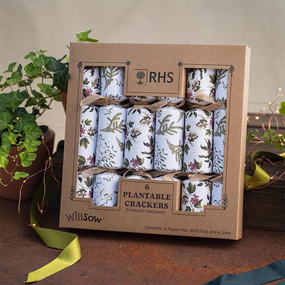 Set of 6 plantable crackers