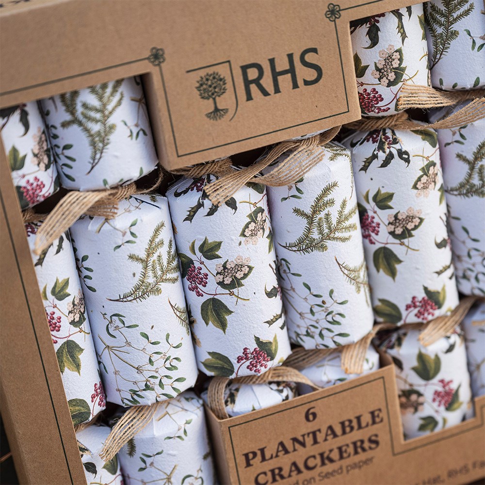 Set of 6 plantable crackers