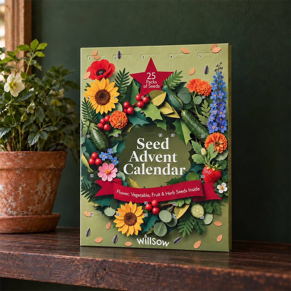 RHS Seed advent calendar