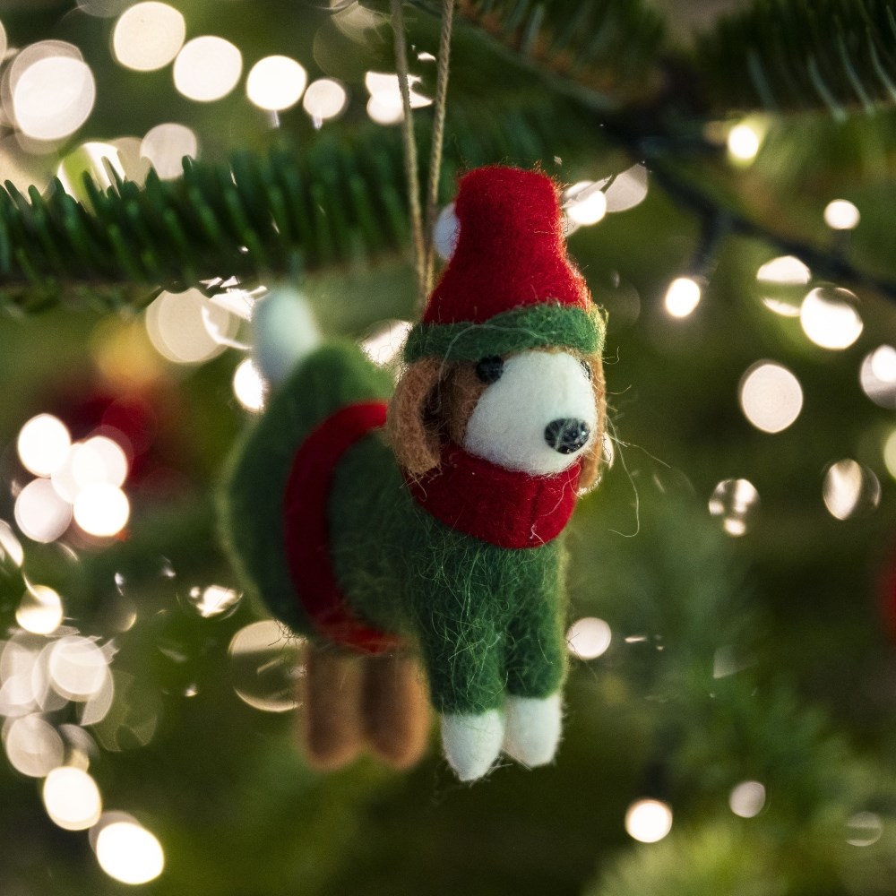 Felt dog in green jacket