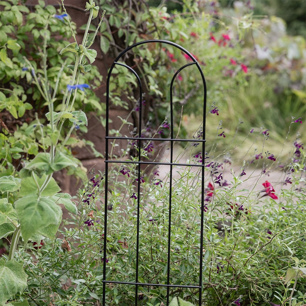 Classic pot plant trellis support - black