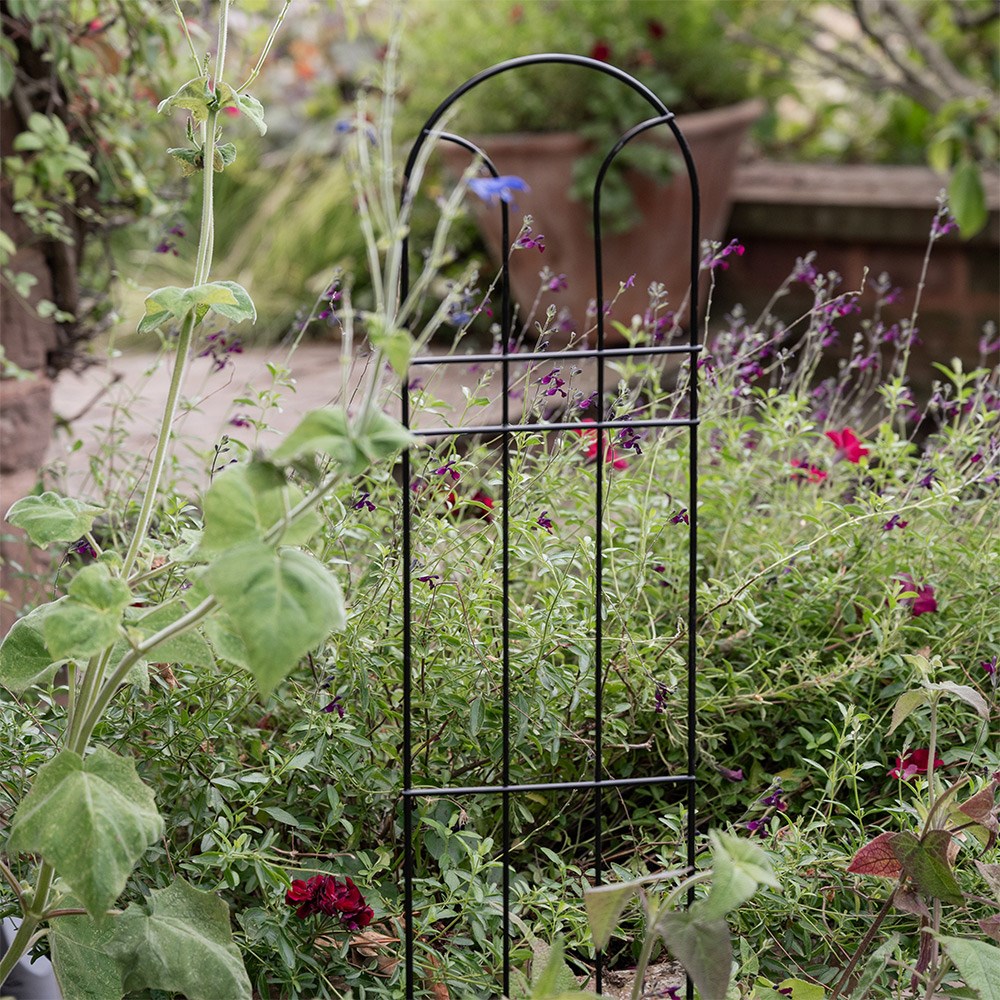 Classic pot plant trellis support - black