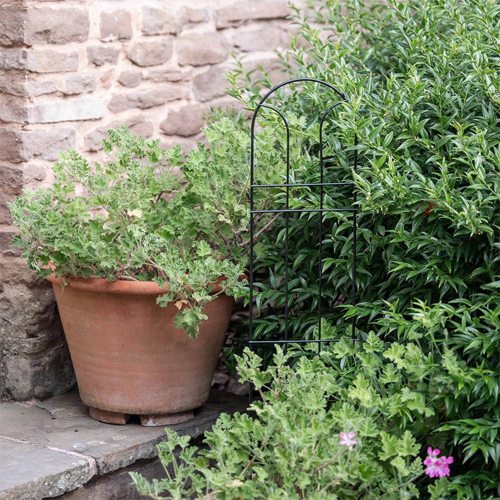 Classic pot plant trellis support - black