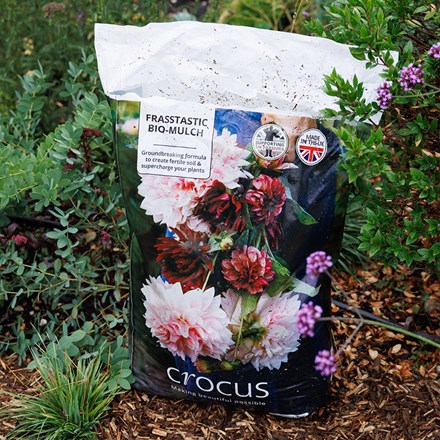 Crocus frasstastic bio-mulch