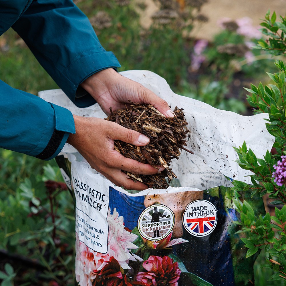 Crocus frasstastic bio-mulch