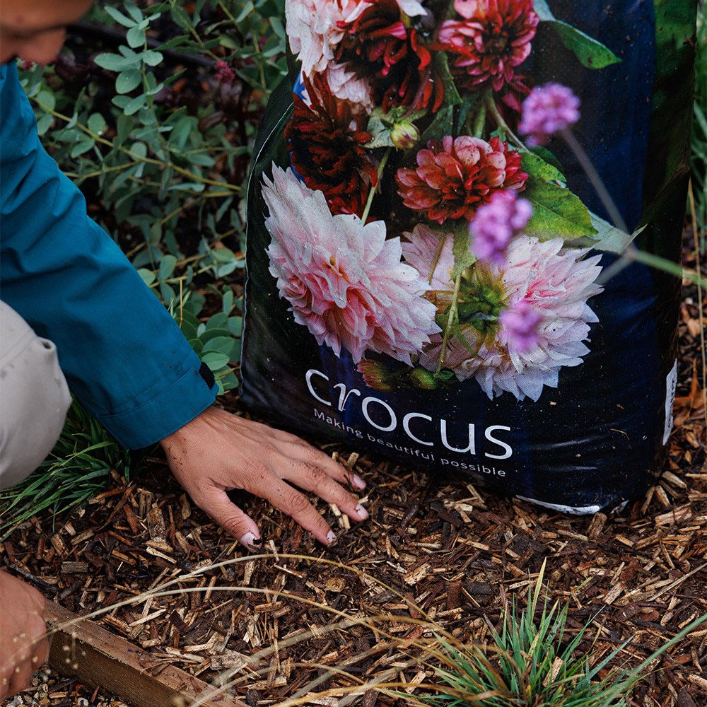 Crocus frasstastic bio-mulch