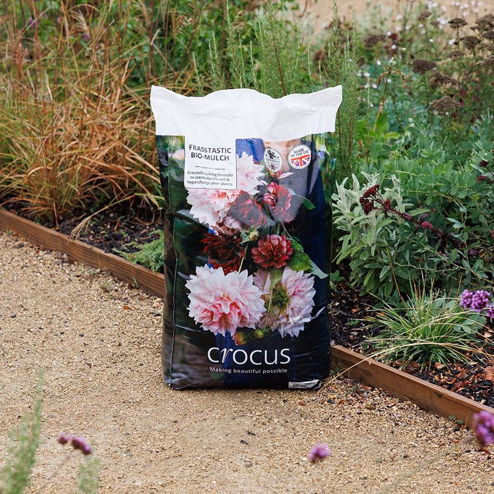 Crocus frasstastic bio-mulch