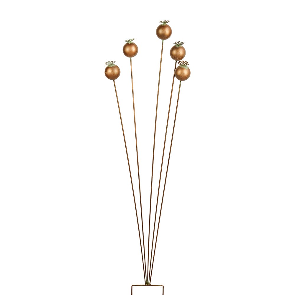 Poppy seedhead cluster - copper green