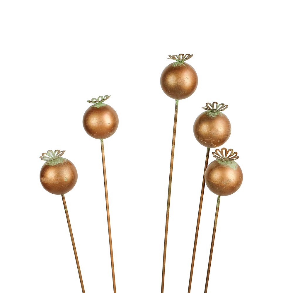 Poppy seedhead cluster - copper green