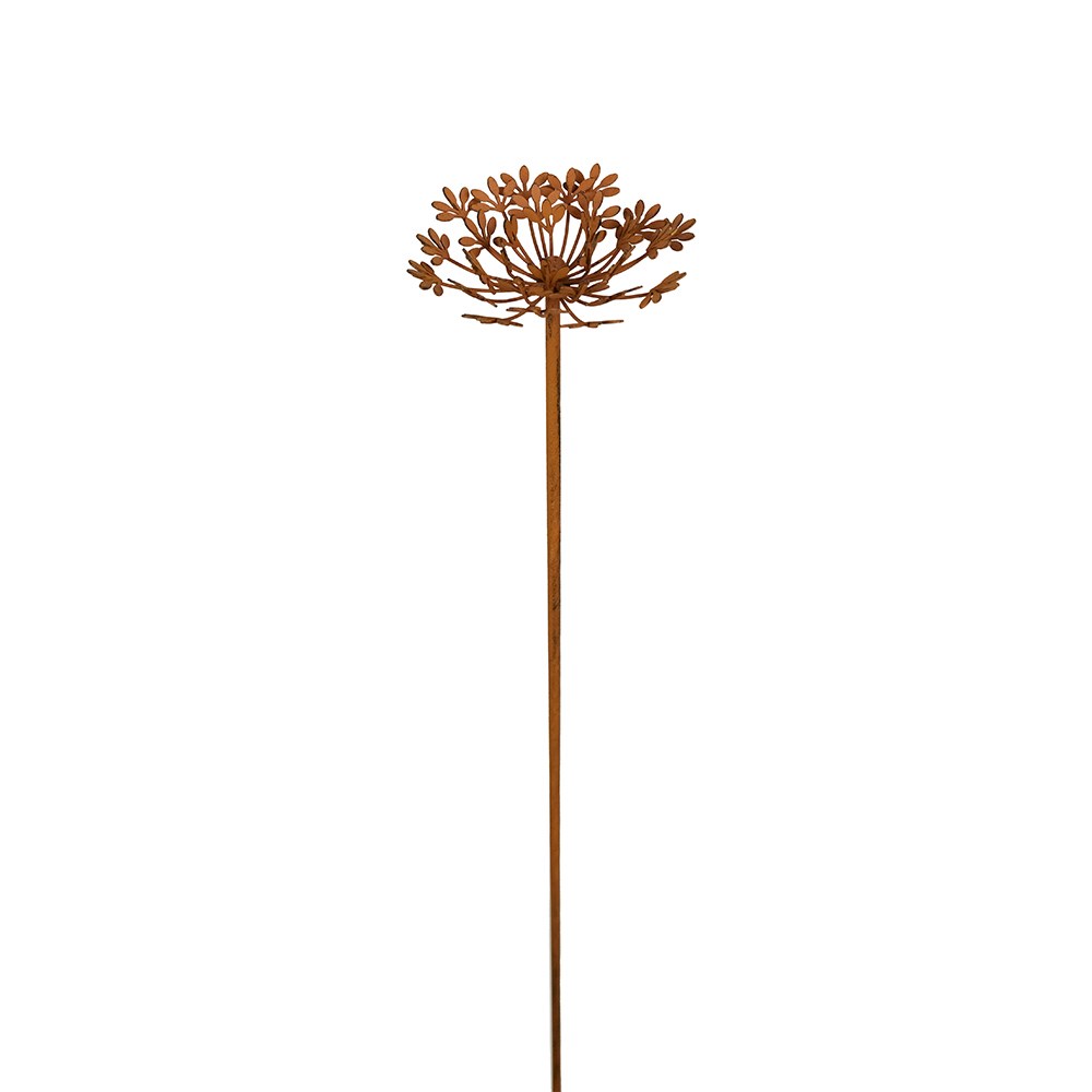 Rust cow parsley stake