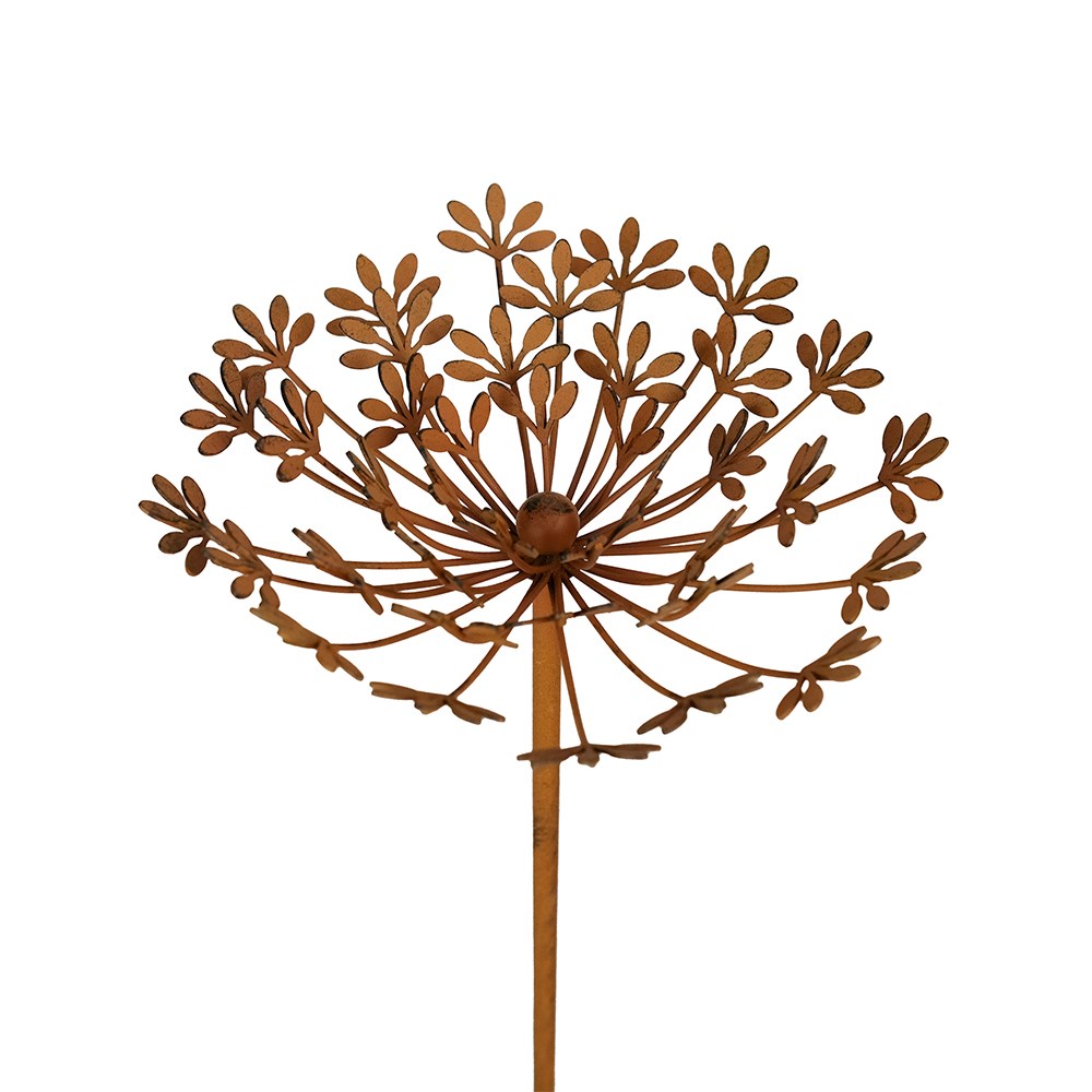 Rust cow parsley stake