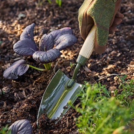 RHS Burgon & Ball BoronGreen hand trowel