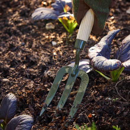 RHS Burgon & Ball BoronGreen hand fork