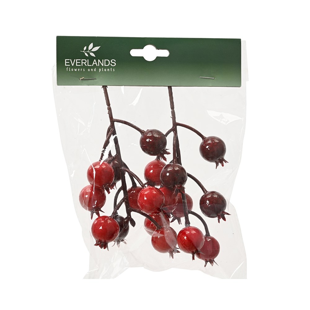 Two red berry sprays