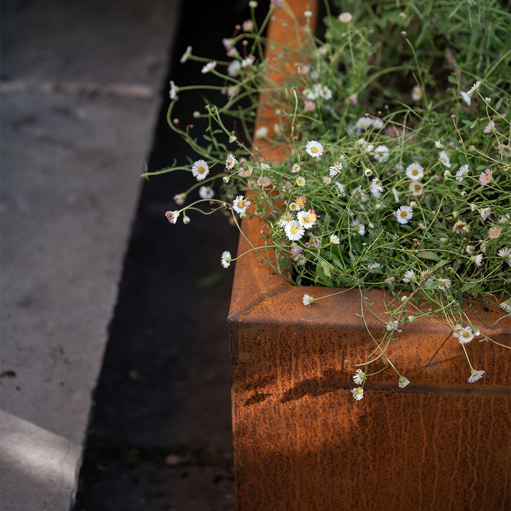Corten steel square raised bed