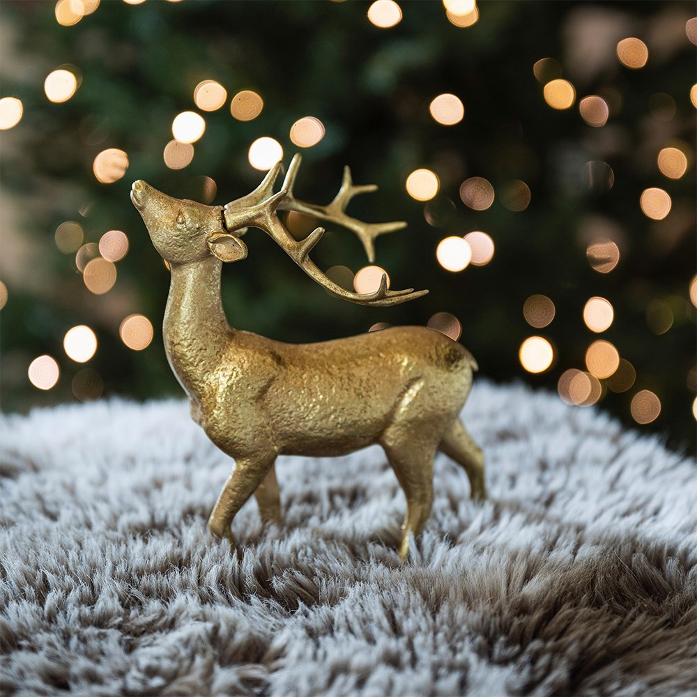 Golden stargazing stag