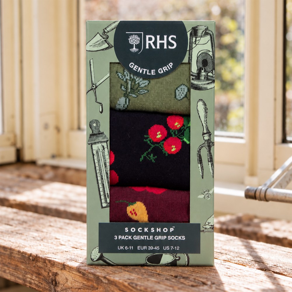 RHS Men's 3 pair gift box - allotment