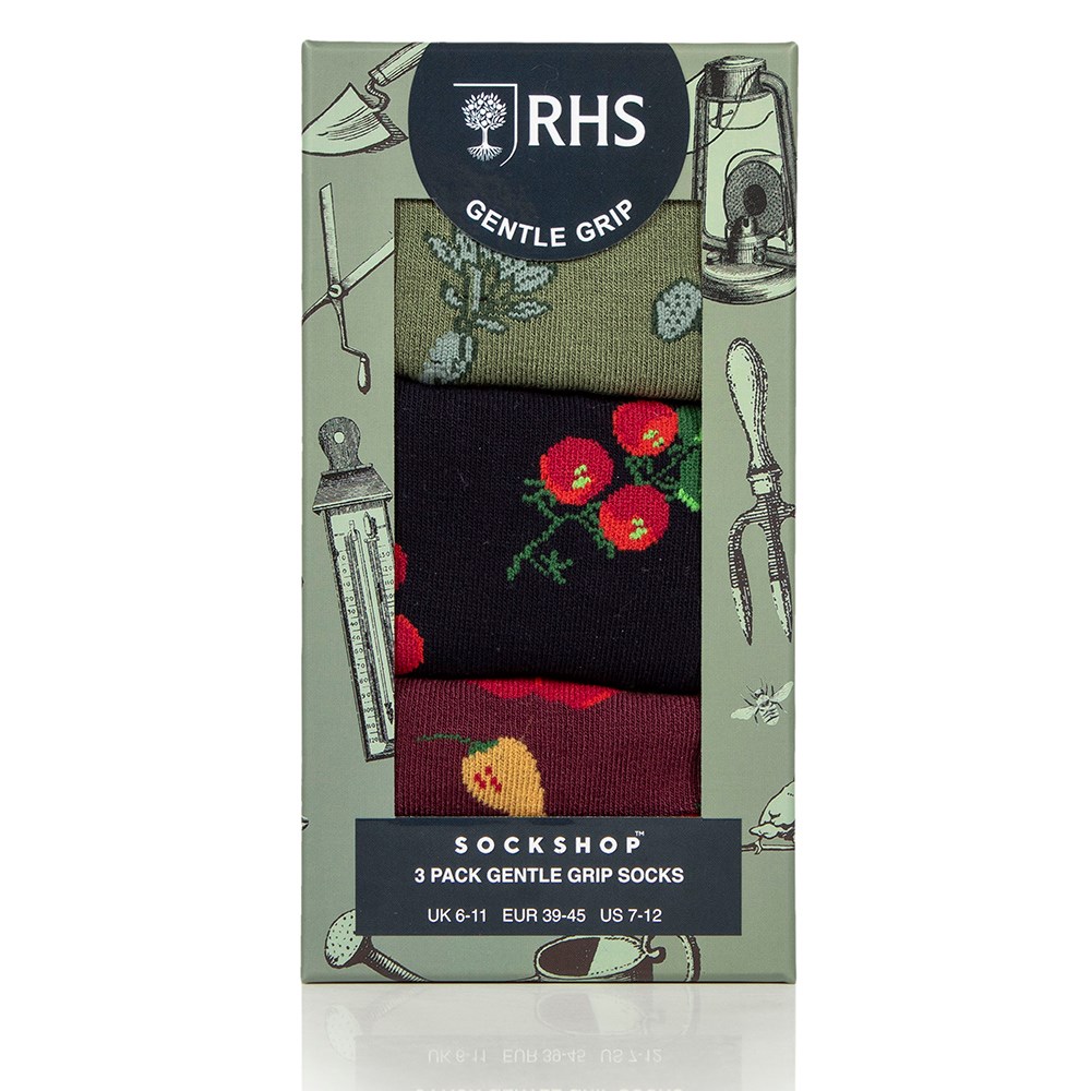 RHS Men's 3 pair gift box - allotment