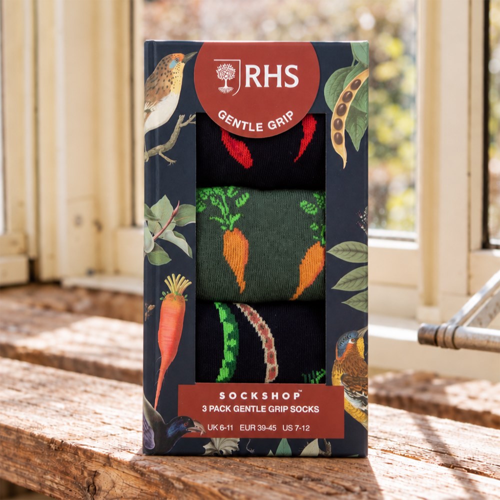 RHS Men's 3 pair gift box - vegetables