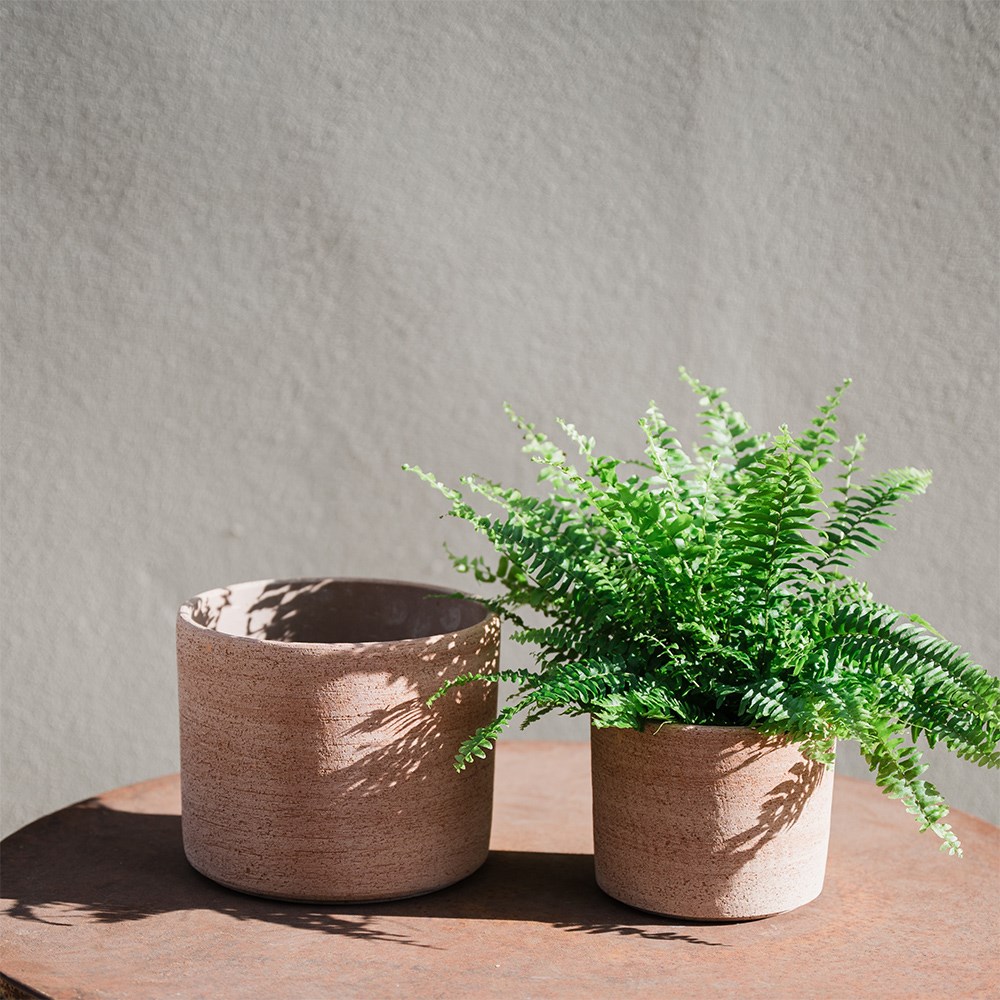 Italian terracotta textured plant pot