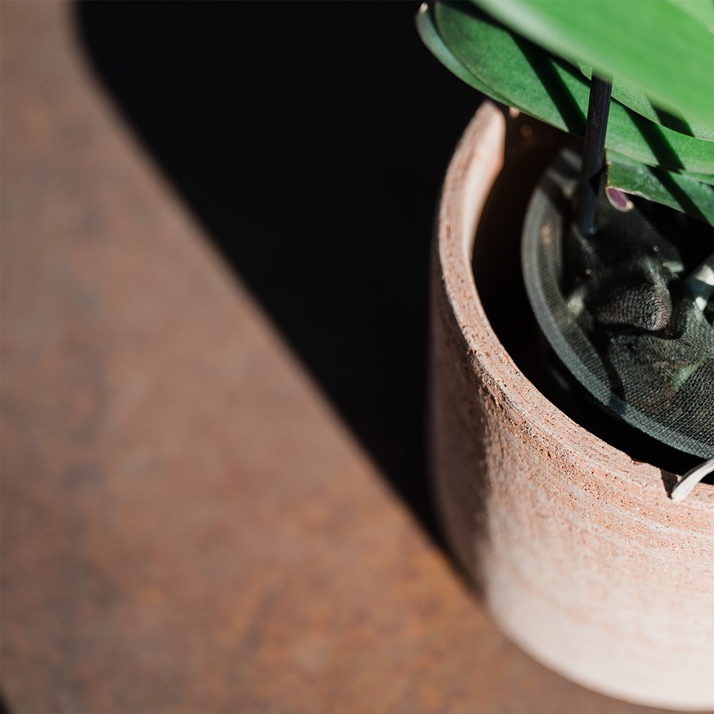 Italian terracotta textured plant pot