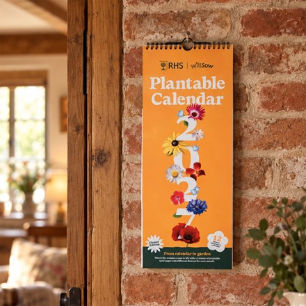 2027 plantable flower wall calendar