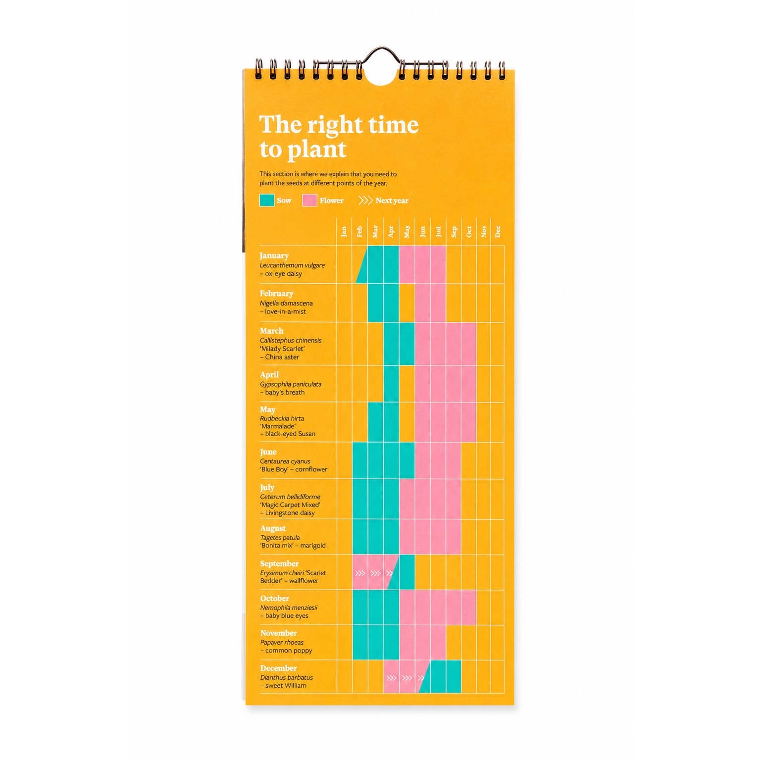 RHS 2027 plantable flower wall calendar